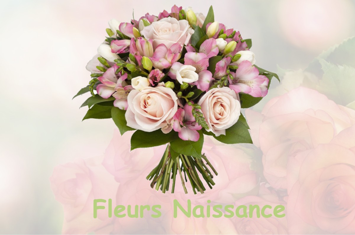 fleurs naissance LOUDET