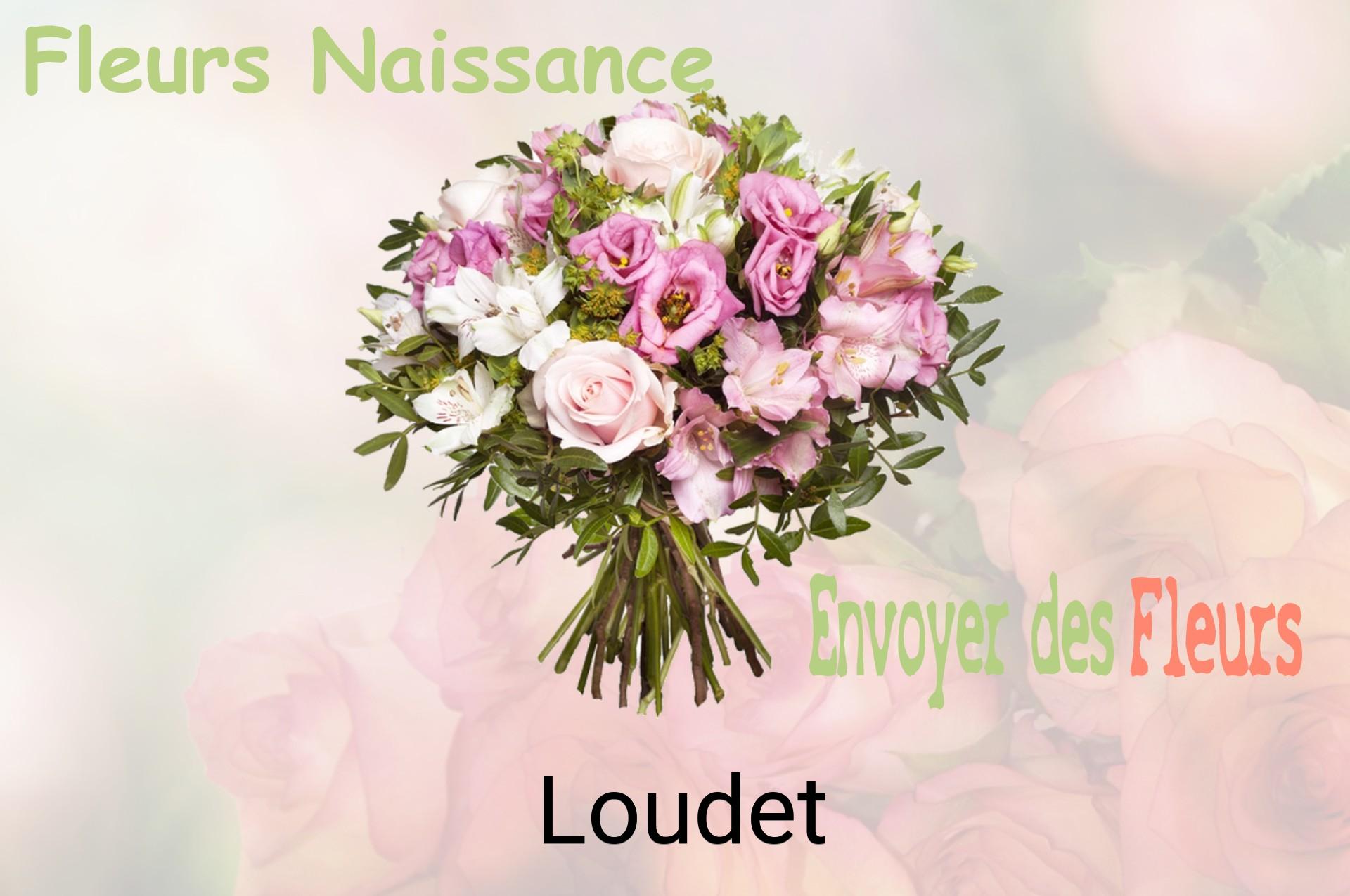 Bouquet de fleurs de naissance livré à Loudet