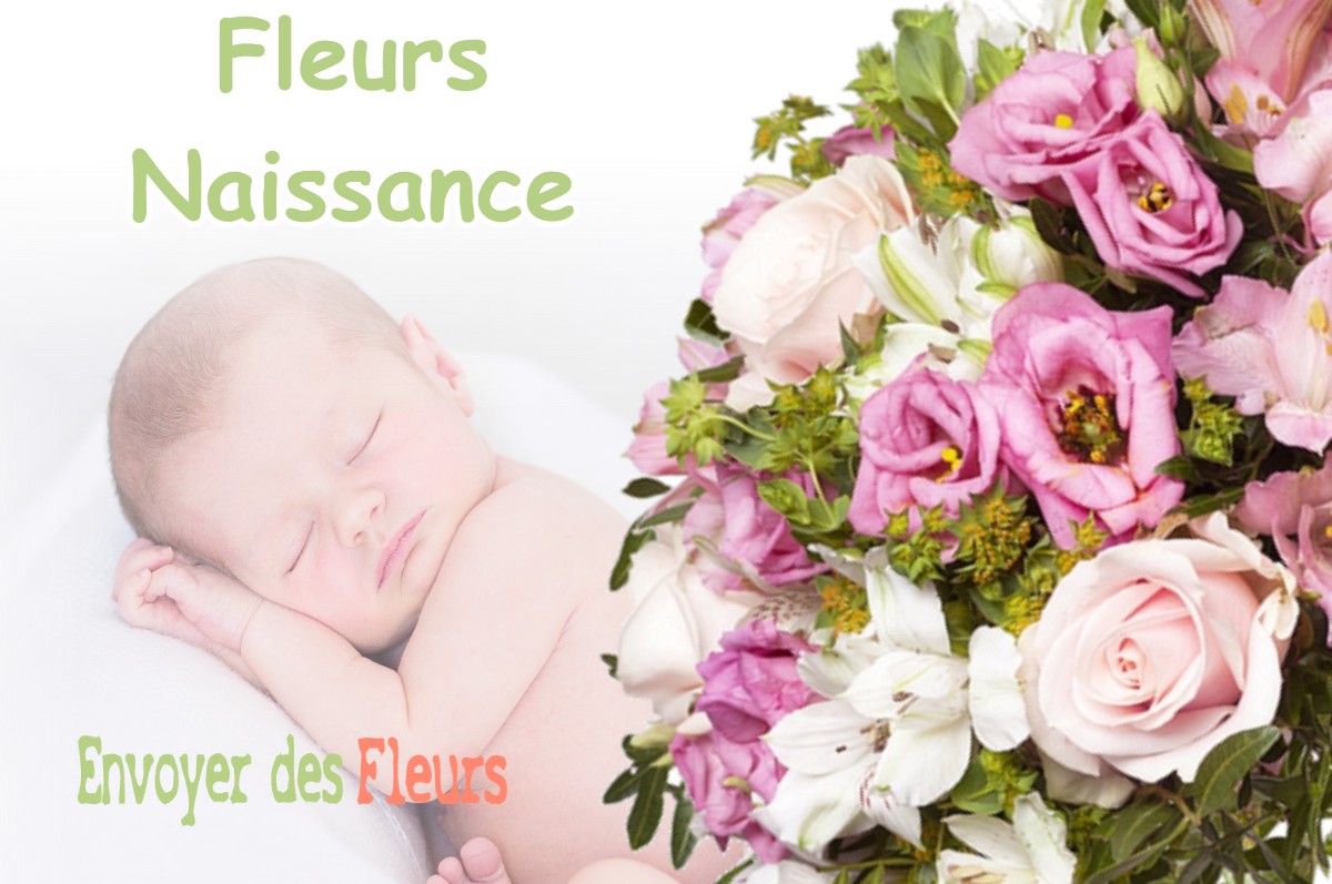 lIVRAISON FLEURS NAISSANCE à LOUDET